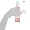 Garnier SkinActive Facial Mist Spray with Rose Water, 4.4 Fl Oz (Pack of 1)