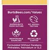 Burt's Bees Renewal Intensive Firming Face Serum - Embrace Youthful Skin Today