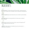 TreeActiv Acne Eliminating Face Cream