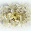Restoring Daily Cleanser Rice and Papaya Enzyme Powder