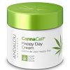 Where to Get Ultimate Nighttime Skin Hydration: CannaCell Dreamy Night Cream