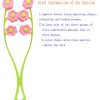 Flower Type Massage Roller for V Face Pull Tight Firming