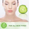 Organic & Natural Anti-Aging Face Cream Moisturizer with Hyaluronic Acid, Vitamin C, E, A (Retinol), and B3 (Niacinamide) for Men and Women - Plant-Based Skincare