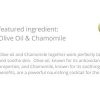 Chamomile Bar Soap Face Olive Oil