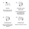 Facial Massager Roller by Ella Kristine