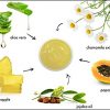 Pineapple Enzyme Facial Scrub Exfoliating and Refining Facial Scrub