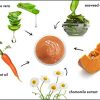 Gentle and Exfoliating Treatment for All Skin