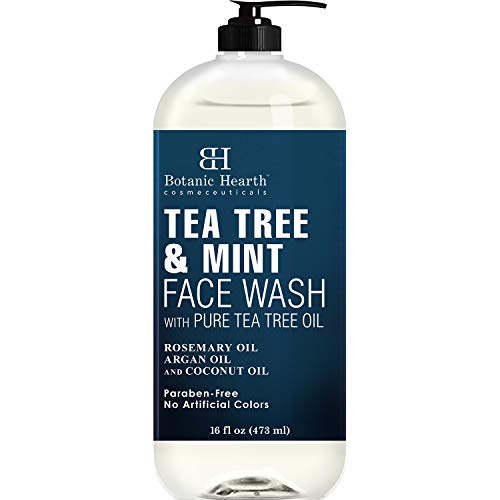 Acne Fighting Face Wash with Mint and Tea Tree