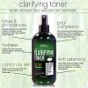 Clarifying Toner for Face Helps Reduce Appearance of Pore Size