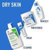 CeraVe Hydrating Cream-to-Foam Cleanser