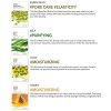 Face Shop Facial Mask Sheets