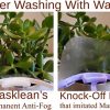 Masklean Clear Sanitary Mask - Permanent & Double-Sided Anti-Fog Shield for PMU, Microblading, Tattoo, and Catering (5 Masks + 1 Pouch)