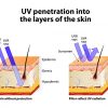 Mineral Tinted Moisturizer for Face Sunscreen SPF30