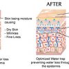 Revitalize and Rejuvenate: OPTIMIZED Anti-Aging Hydrating Mist for Hair, Face & Skin - Stanford Ph.D. Formulated