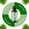 Skin Dry Scalp and Cuticle Oil for Nail Cleaner 100% Tea Tree Oil Pure