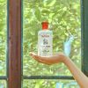 Thayers Alcohol-Free Original Witch Hazel Facial Toner with Aloe Vera Formula , clear , 12 oz
