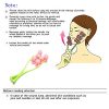 Flower Type Massage Roller for V Face Pull Tight Firming