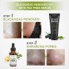 Blackhead Remover Charcoal Mask with Brush & Tea Tree Serum