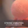 Facial Cleansing Brush Caytraill