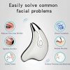 Whale Electric Vibration Beauty Board Face Massager