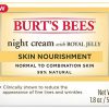 Night Cream Burt's Bees Skin Nourishment