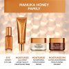 Face Moisturizer Hydra Nutrition Ultra Nourishing Honey Night Balm