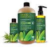 Desert Essence Thoroughly Clean Face Wash