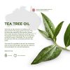 Oil Acne Serum Treats Blemishes, Spots, Scars