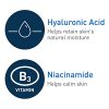 Remover and Daily Face Wash for Oily Skin