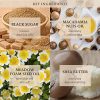 SKINFOOD Black Sugar Mask Wash Off