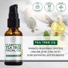 Beauty Foundry Tea Tree Facial Oil
