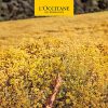 L'Occitane Moisturizing Hand Lotion