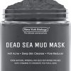 New York Biology Dead Sea Mud Mask for Face