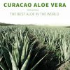 Aloe Vera Gel Pure Natural Face Cream Moisturizer