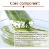 VIBRANT GLAMOUR Crocodile Face Toner for Acne, Scar Removal & Pore Refining – Whitening & Hydrating Skincare