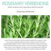 Vibrant Glamour Verbenone Rosemary Gel Acne Face Cream