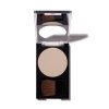 Revlon Photo ready finishing powder translucent