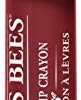 Burt's Bees 100% Natural Origin Moisturizing Matte Lip Crayon