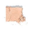 wet n wild MegaGlo Highlighting Powder, Precious Petals