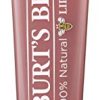 Burt's Bees 100% Natural Moisturizing Lip Shine, Blush - 1 Tube