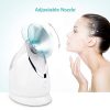 EZBASICS Facial Steamer Nano Ionic Face Steamer