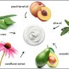 RAYA Under-Eye & Neck Cream | Revitalizing and Fortifying Anti-Aging