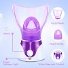 Zenpy Nano Ionic Facial Steamer Hot Mist Face Steamer Home Sauna