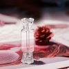 12-Pack Mini Clear Sweet Lip Gloss Tubes for DIY Cosmetics - Lipstick Lovers' Dream
