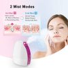 Facial Steamer,Nano Ionic Facial Steamer Professional Home Facial