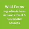 Wild Ferns Lanolin and Collagen Facial Moisturizer
