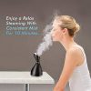 Zenpy Facial Steamer Hot Mist Face Sauna Steamer Home