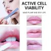 Reazeal Lip Plumper, Natural Collagen Lip Maximizer