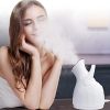 Facial Steamer Nano Ionic,Lumcrissy Large Enorous Amount of Warm Mist