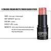 Sumeitang 4 Colors Blush Stick Set Natural Cream Blush